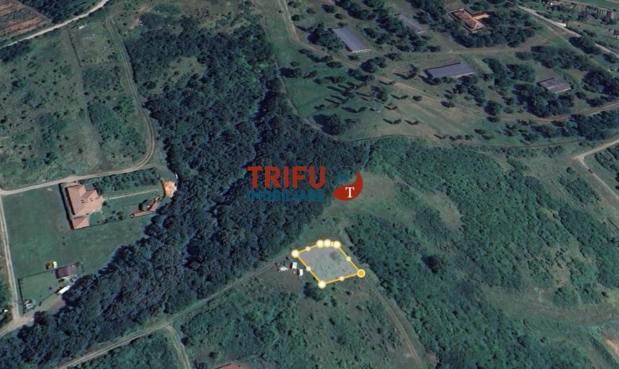 Teren Construcții intravilan de 676 mp, în Ampoi 1