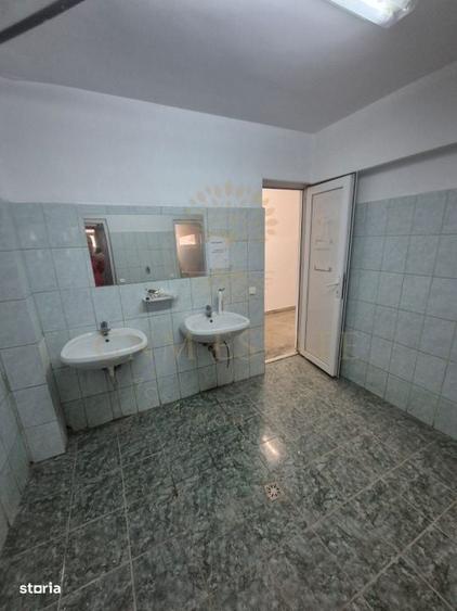 Inchiriere Hala 650mp Drum intre Tarlale - 2