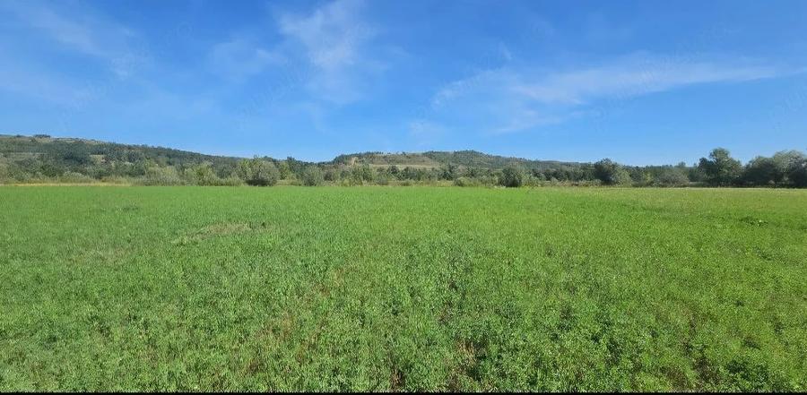 Teren de 3500 mp, în Porumbacu de Jos