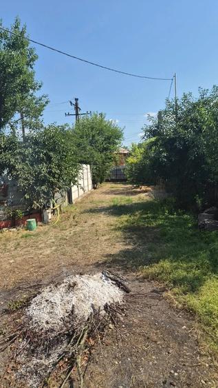 Casă cu Teren 620 Mp în Bărcănești