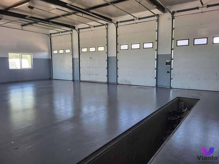 Spațiu industrial, de 200 mp, în Cristian