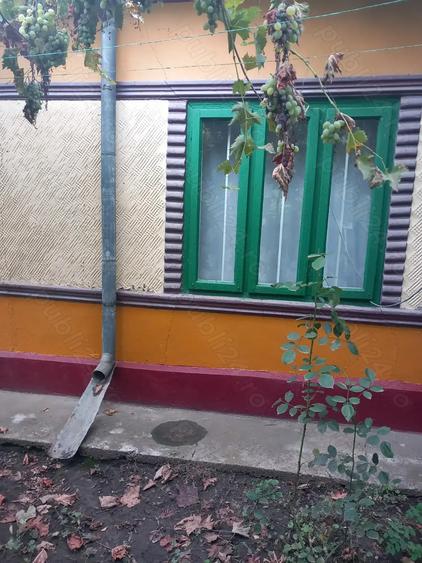 Casa batraneasca si teren de vanzare: Silistraru, Braila - 10