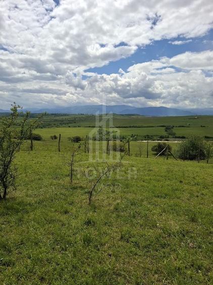 Teren agricol extravilan de 11500 mp, în Daia