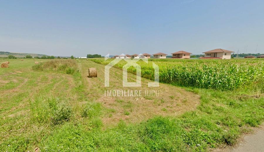Teren Construcții intravilan de 2900 mp, în Jucu de Sus
