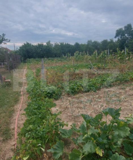 Casă cu 2 camere cu Teren 1800 Mp în Viile Satu Mare