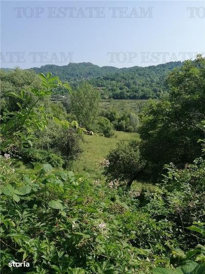 Teren de 11230 mp, în Breaza