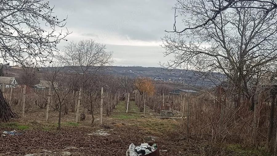 Teren de 2400 mp, în Goruni