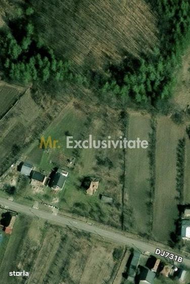 Casă cu 3 camere cu Teren 4226 Mp în Băbana
