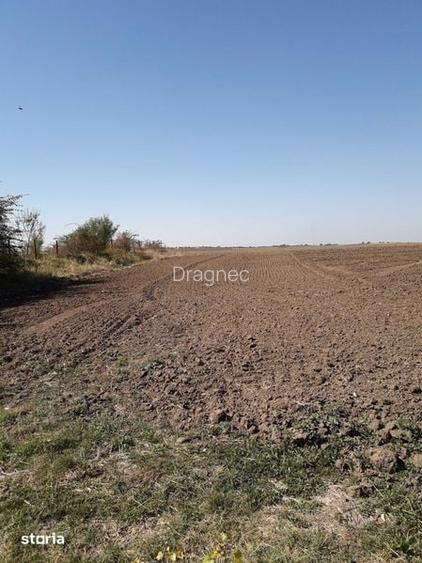 Teren intravilan de vanzare direct de la proprietar