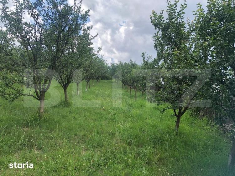 Teren de 1300 mp, în Viile Satu Mare