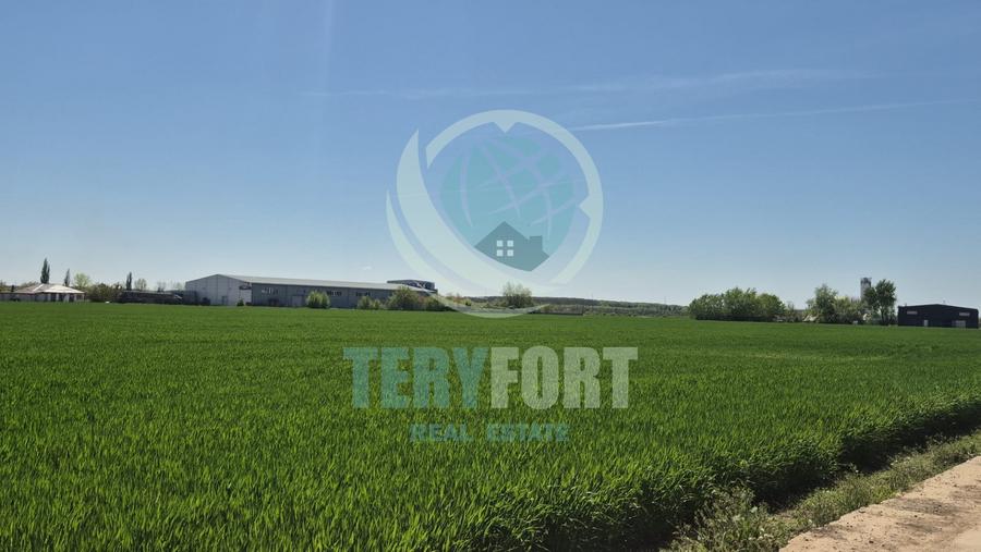 Teren Construcții intravilan de 3750 mp, în Afumați