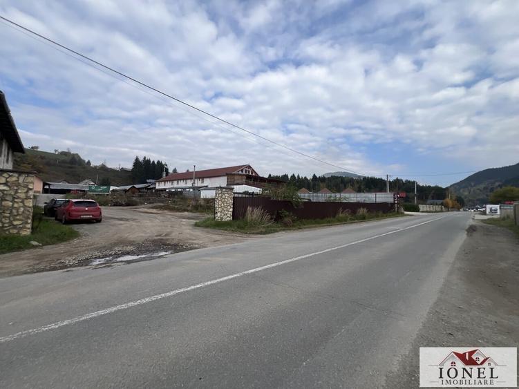 Teren Construcții intravilan de 4439 mp, în Bistra