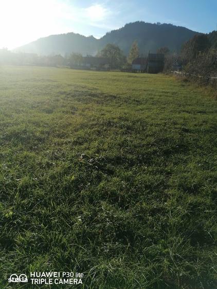 Teren de 3200 mp, în Sadova
