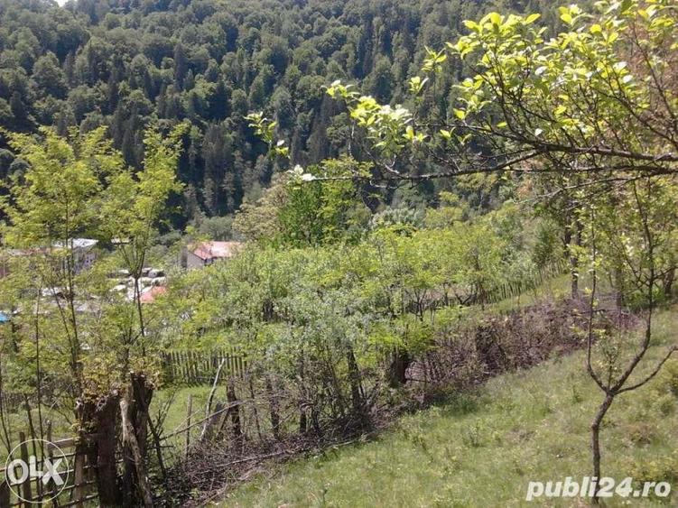 Teren de 5062 mp, în Voineasa