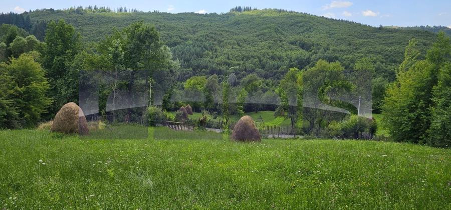 Teren Construcții de 2200 mp, în Teșila