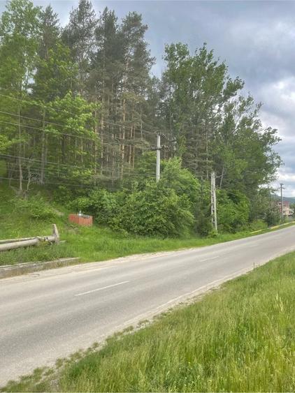 Teren de 2329 mp, în Beșlii