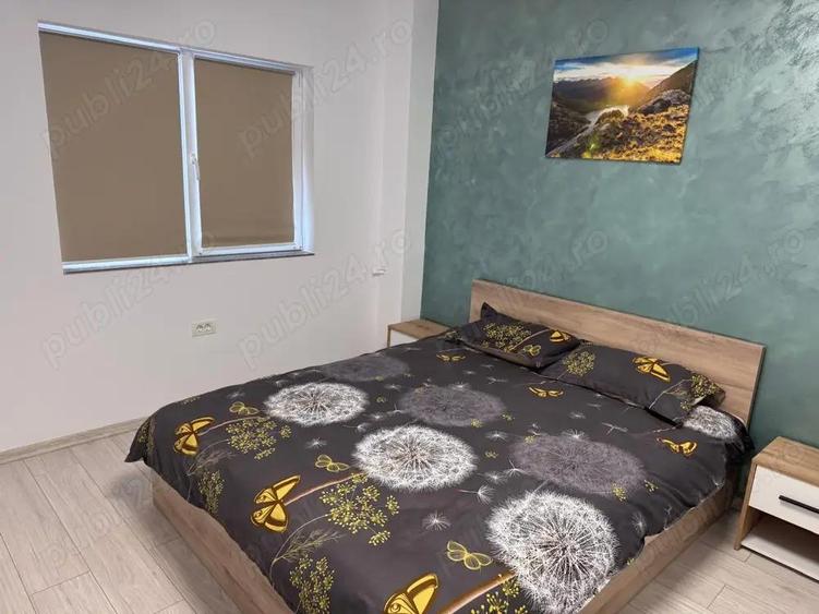 Cazare in regim hotelier-Apartament 2 camere - 1