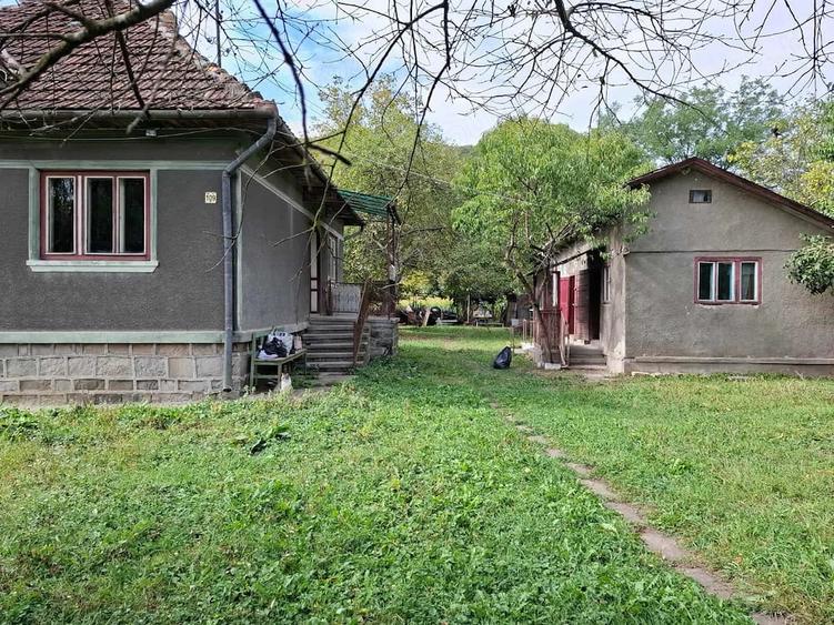 Casă cu 3 camere cu Teren 2100 Mp în Criș