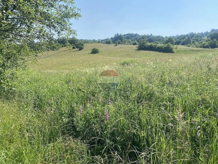 Teren de 4306 mp, în Vama Buzăului