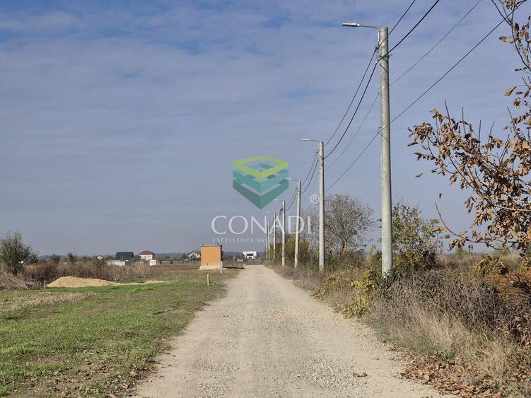Teren Construcții intravilan de 13518 mp, în Odăi