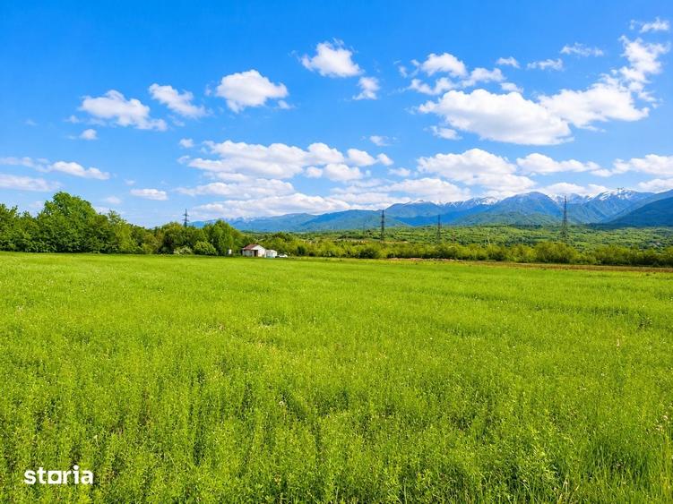 Teren de 2800 mp, în Turnu Roșu