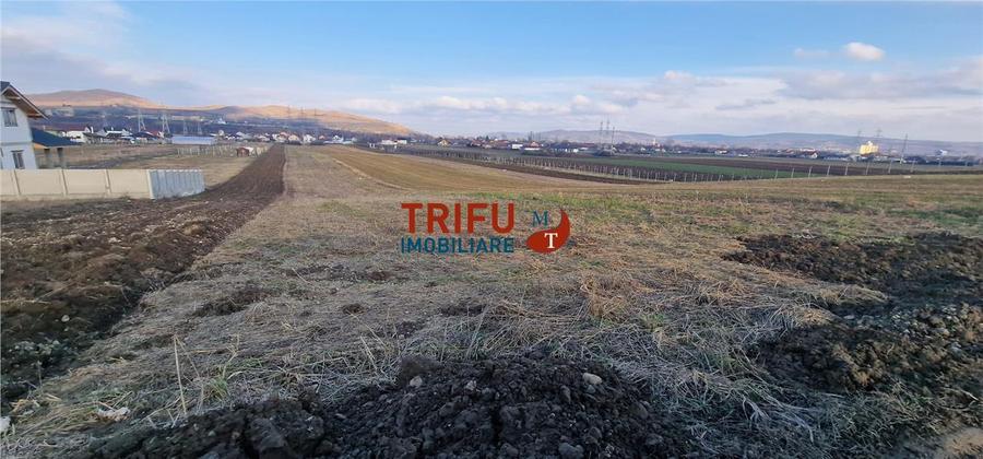 Teren Construcții intravilan de 2125 mp, în Bărăbanț