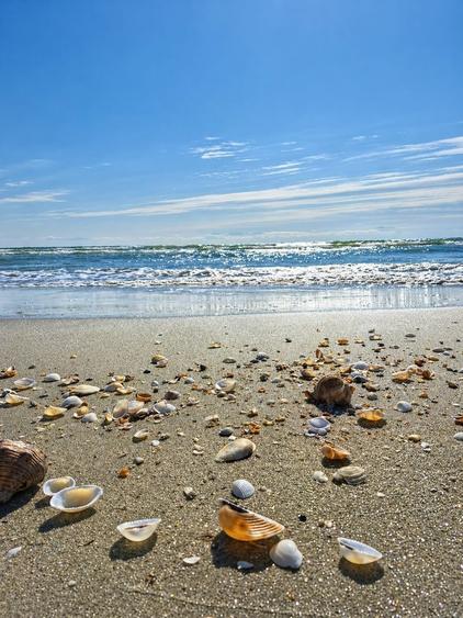 Apartament cu 2 camere | Mamaia Nord | Azimuth Beach - 1