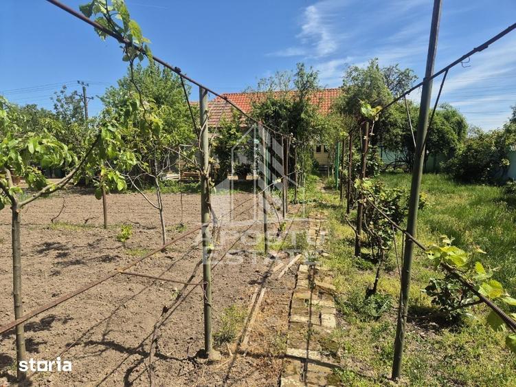 Casa renovata complet, cu garaj ?i anexe, in Satchinez, Timi? - 3