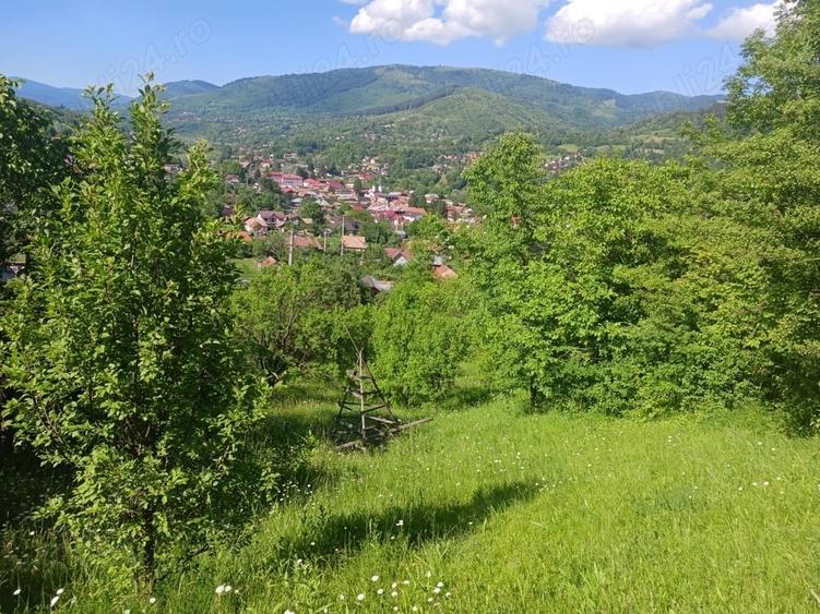 Teren de 1000 mp, în Valea Doftanei