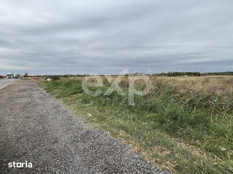 Teren de 15000 mp, în Sud