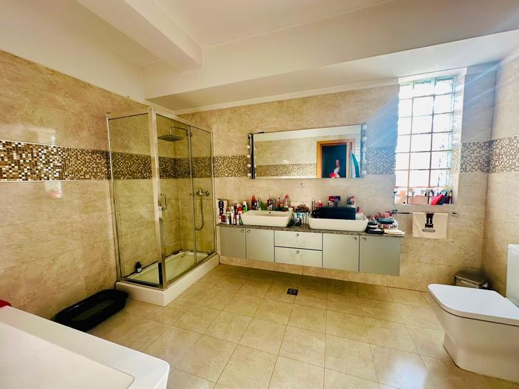 Penthouse cu 7 camere decomandat în Polonă