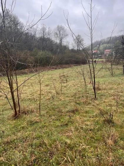 Teren de 2900 mp, în Sintești