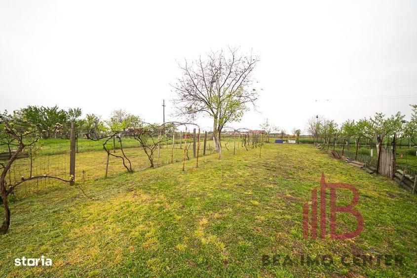 Casă cu 4 camere cu Teren 1128 Mp în Zimandu Nou