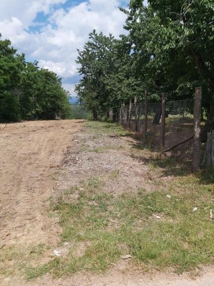 Teren Construcții intravilan de 3180 mp, în Turcinești