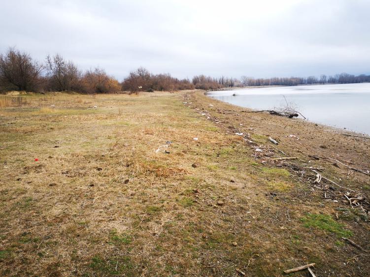 Teren agricol extravilan de 20000 mp, în Tudor Vladimirescu
