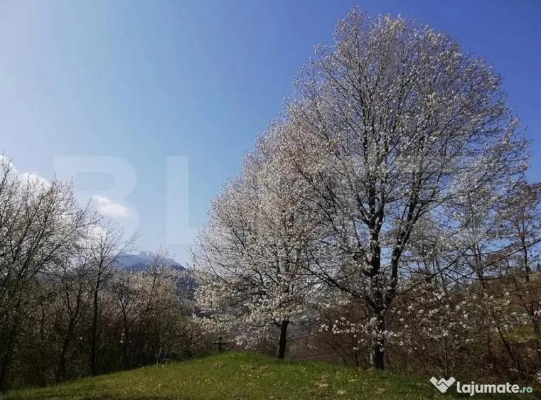 Teren de 2500 mp, în Ceahlău