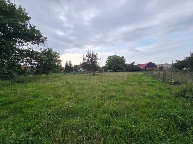 Casă cu 3 camere decomandat în Arpașu de Jos