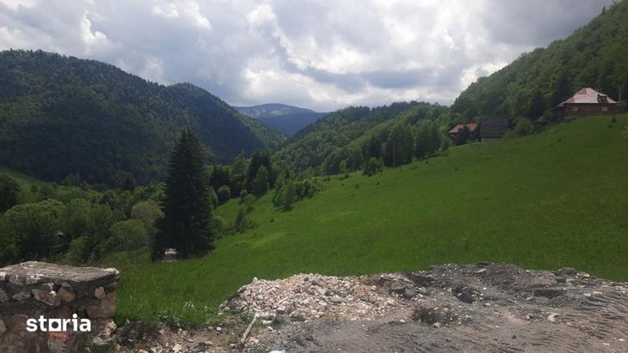 Teren frumos Dambovicioara Valea Urdii - 4