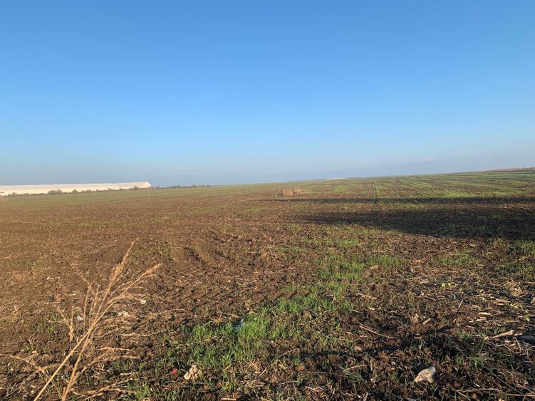 Teren agricol extravilan de 20000 mp, în Popești-Leordeni