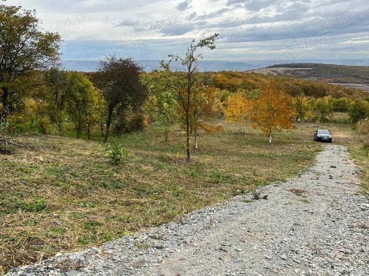 Teren de 3744 mp, în Gheorghieni