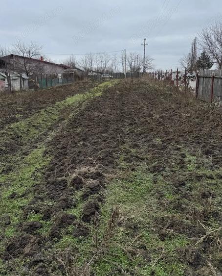 Teren de 1000 mp, în Pădurișu