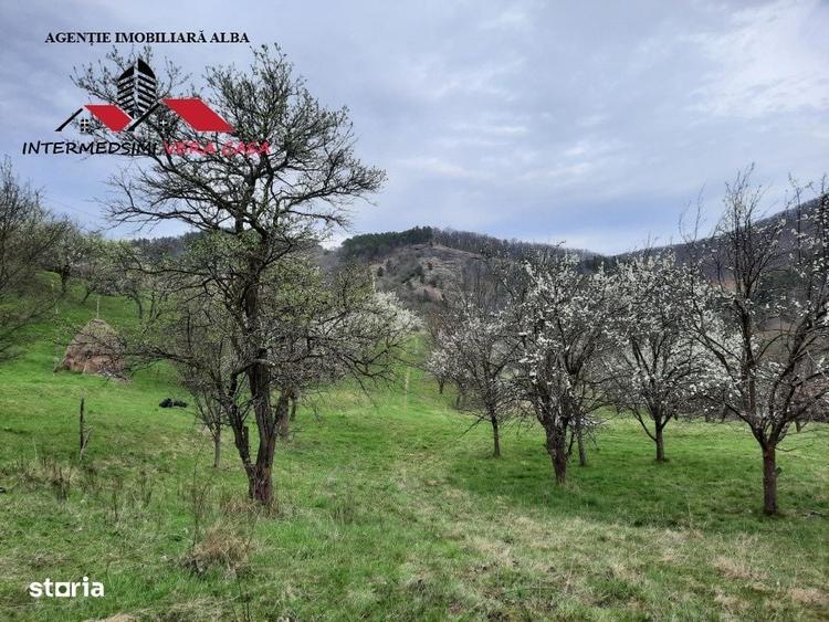 Spațiu comercial, în Valea Vințului