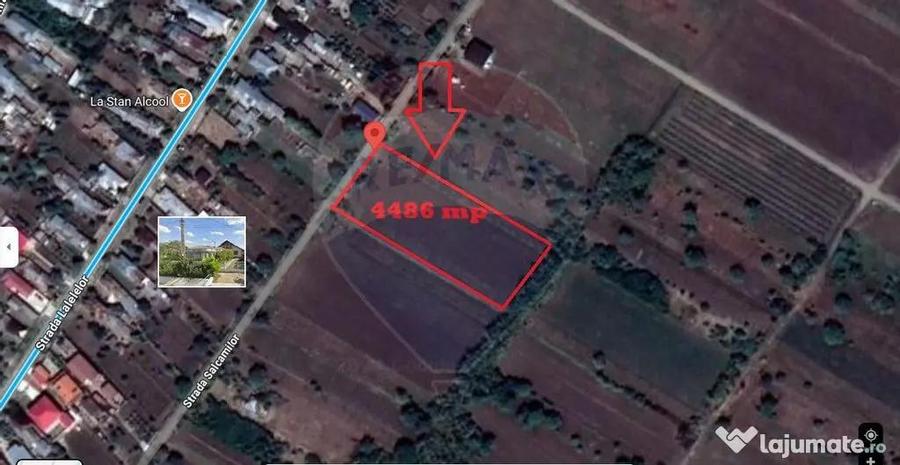 Teren de 4486 mp, în Gologanu