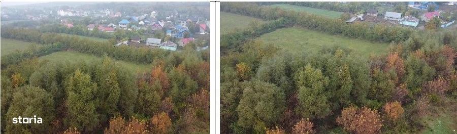 Teren de 2660 mp, în Băcești