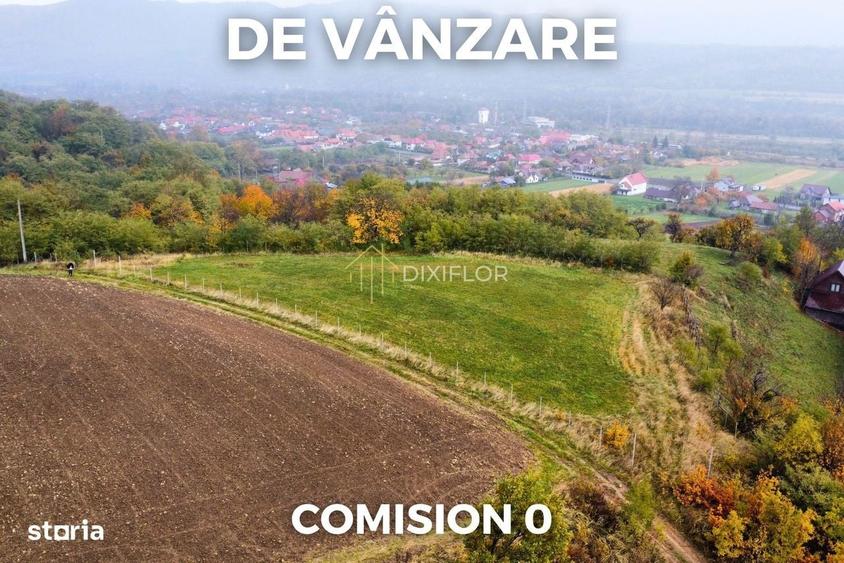 Spațiu comercial, în Șieu