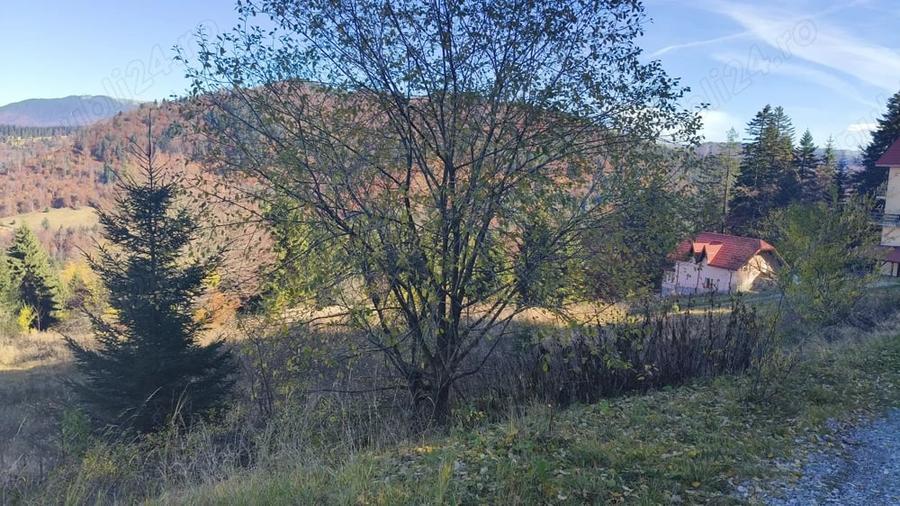Teren în Central