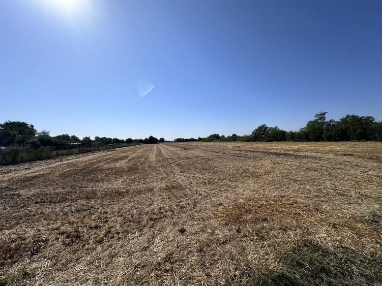 Teren Construcții intravilan de 5208 mp, în Dascălu