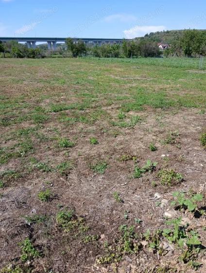 Teren de 1100 mp, în Milcov