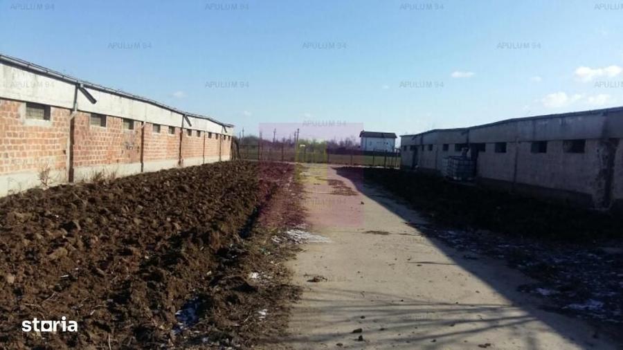 Teren Balotesti- Saftica- ideal pentru constructie locuinte. - 5