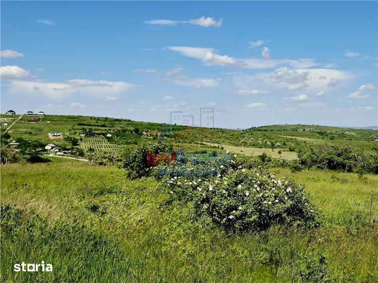 Teren de 800 mp, în Goruni